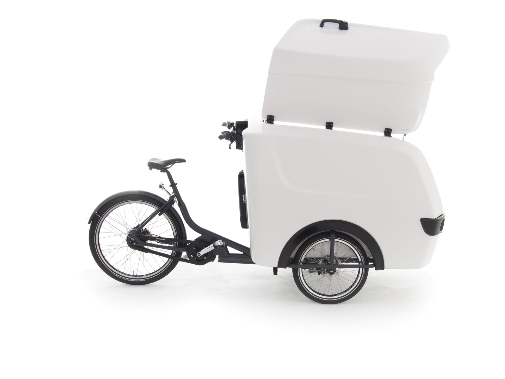 E cargo. Трайк для доставки. E-Cargo Bikes Camel. Can Bicycle carry Passengers.